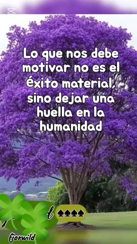 #CapCut  Odio y amor  José catire Carpio 