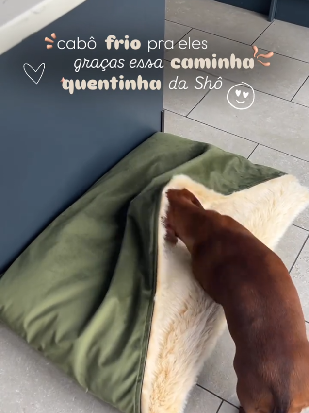 Caminha de Cachorro Saquinho de Dormir Para Gato Pele de Carneiro Cama Pet Canguru Saco De Dormir De R$ 52,00 💰 *Por R$ 38,99* 😱 🛒 Compre agora 👉cole o  link no WhatsApp para ficar clicável https://s.shopee.com.br/BJAAN8rYL #PetShop #petsofinstagram #pets