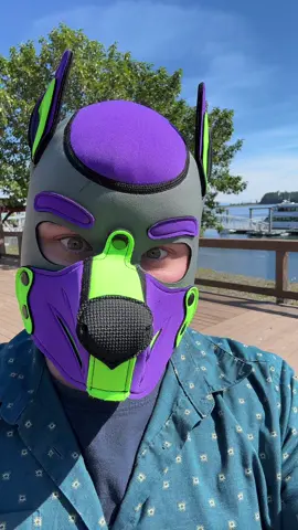 Already been to da liqa sto…. Dog bout to be on a boat! #tiktokpuppack #foryoupup 