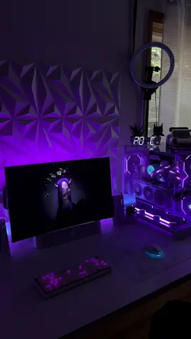 Need some Nanoleaf lights 🥲 #setup #pc #pcsetup #fyp #viral 