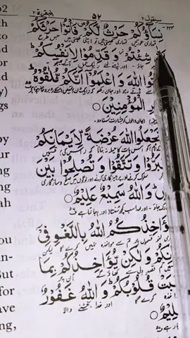 surah bakarah ayat 223#alquran #quranurdutranslation #foruyou #viral #unfreezemyacount @TiktokPakistanOfficial 