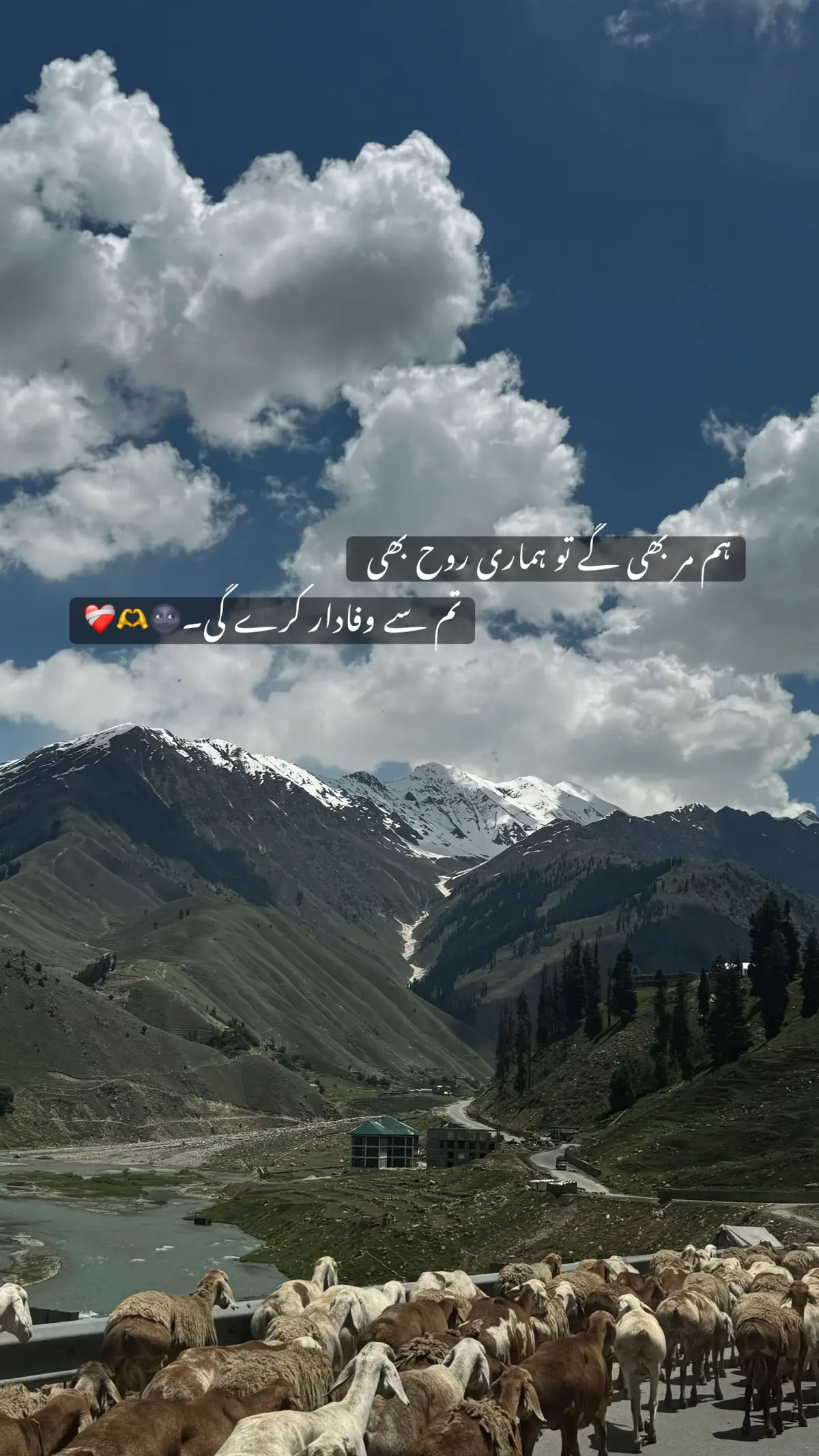 #foryou #foryoupage #tiktok #viral #video #fyp #follow 