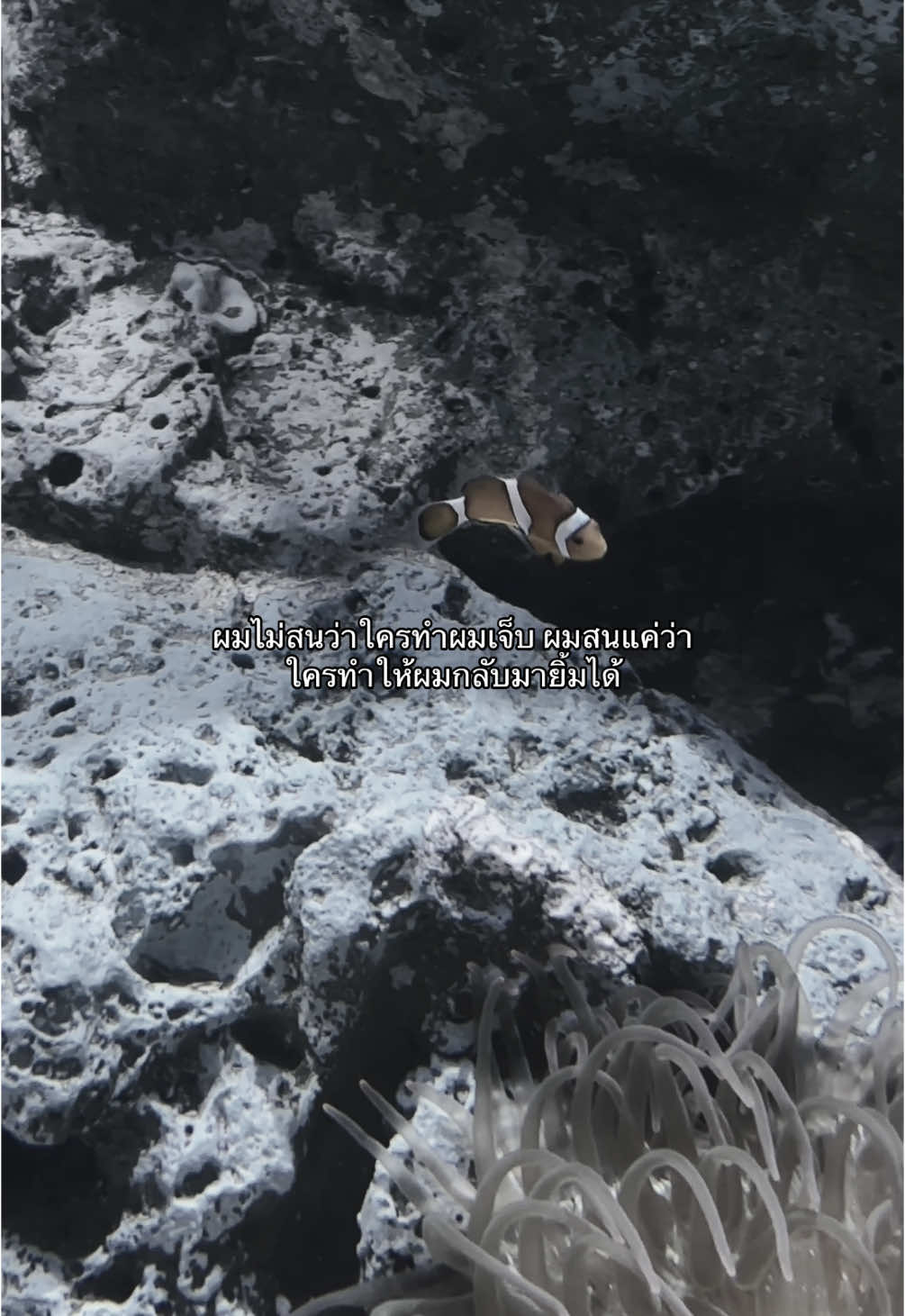 #เธรด 