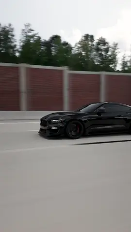 Comment content you want to see👇 • 🎥- @ThatCarGuyJoe  • • • #ford #fordmustang #gt500 #gt350 #shelby 