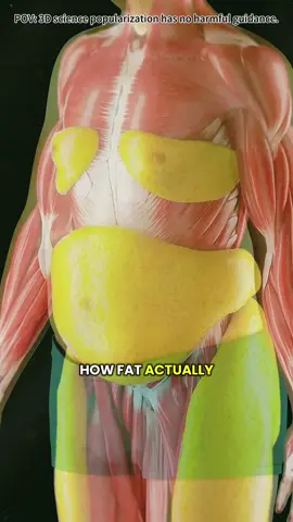How fat exits the body#HowFatLeavesTheBody  #FatLossExplained  #3DMedicalAnimation  #WeightLossScience  #BodyFatBreakdown  #HealthEducation  #FatMetabolism  #ScienceMadeSimple  #HumanBody3D  #NutritionFacts