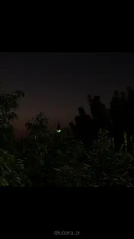 صلاة الفجر  لا يدركها إلا قلب احبه الله  واحب لقائه 