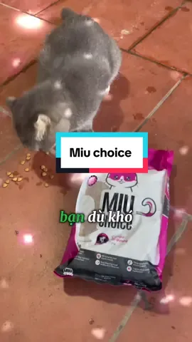 Chỉ một vài hạt MIU Choice Tuna, boss đã mê đắm chẳng thèm nhìn tô cơm nữa! 🐱💖 #GiònTanCáNgừ #petchoice #miuchoice#ChamsocMeo #xuhuongtiktok2025 
