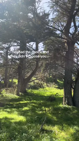 I love Laufey and Point Lobos @Christian @laufey #pointlobos #laufey #secondbest #Hiking #solohike 