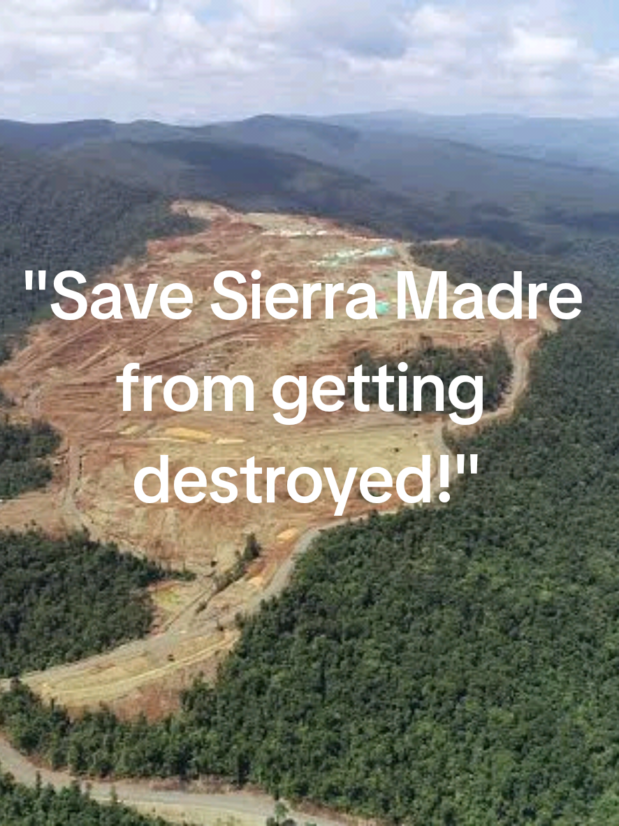 The Sierra Madre is the longest mountain range in the Philippines. It plays an important role in protecting Luzon, especially during typhoons, because it acts as a natural barrier that weakens strong winds and heavy rain. However, the Sierra Madre is now facing serious problems like deforestation, illegal logging, and construction projects such as dams and roads. Because of these issues, many trees are being cut down, and animals are losing their homes. The damage to Sierra Madre also increases the risk of floods and landslides, putting the lives of people in Luzon in danger. Taking care of Sierra Madre is important for the safety and environment of the Philippines. #fyp #fy #share #ctto #sadsongs #staysafe #fyppppppppppppppppppppppp #sierramadre #typhoonprotector #deforestation #mining #dam 