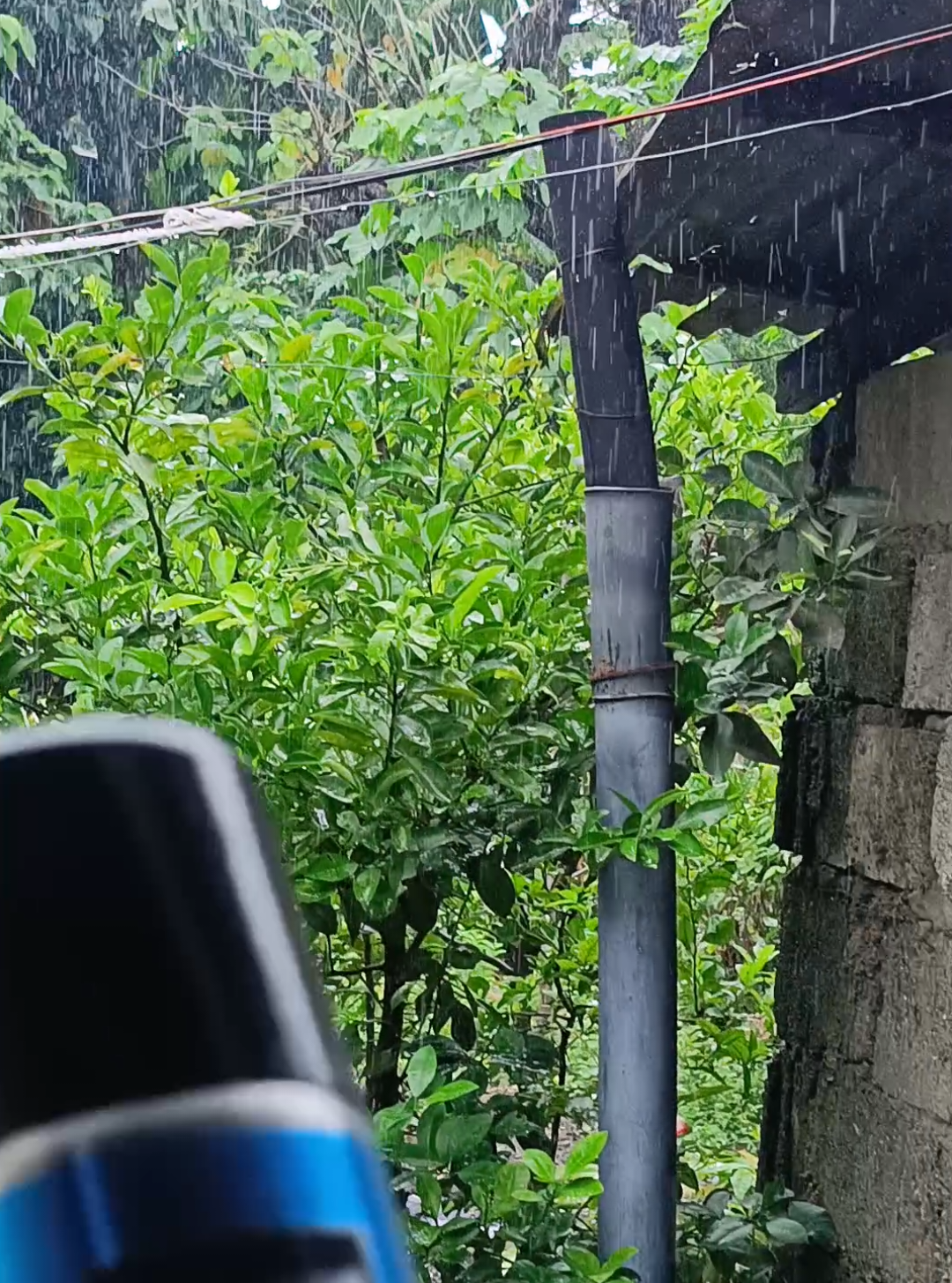 waterproof and leak proof rubber spray #maybutasbaangbubungmo #rubberspraysealantwaterproof #rubbercoated 