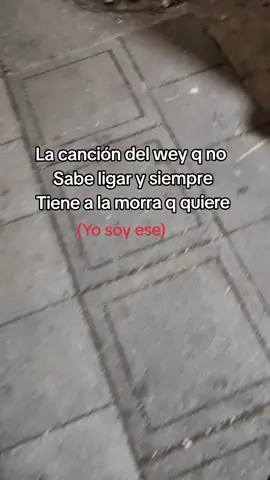 #humor #fras #viralvideos 