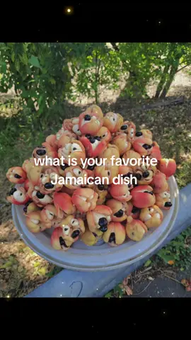 #ackeeandsaltfishwiithanything