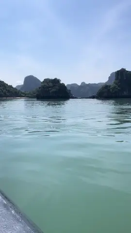 Ti top không  có 1 mống khách nào #reviewhalong 