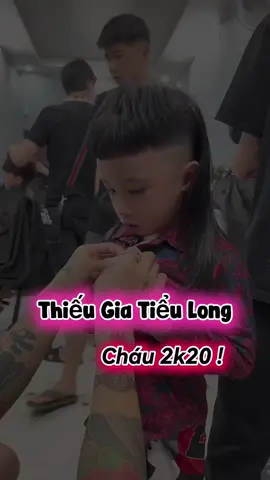 Thiếu gia tiểu long ✂️#xuhuong #hảiđăngtócboyphố #hảiđăngidoltócphố 