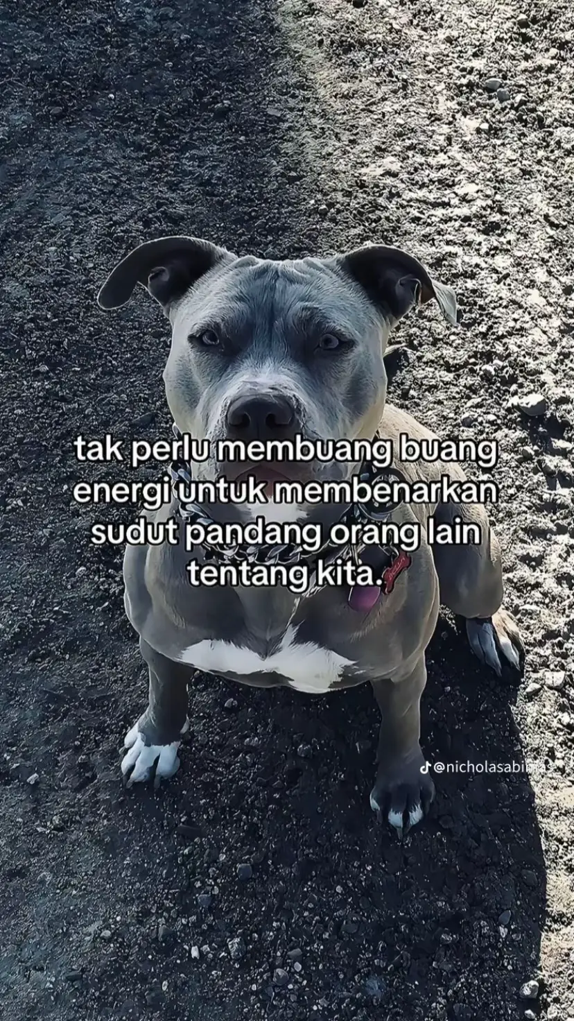 #dayasa #bismillahramai #masukberanda #4u #fyp #soundviral 