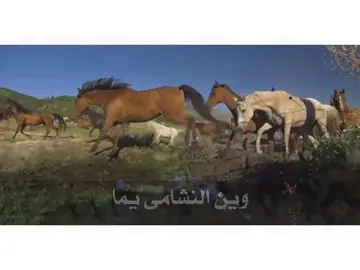 #وين_النشامى #يخزي_العين #يما #شيلات #شيلات_فخمة❤️ @_.4pra 