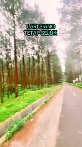 Spot lari yang sejuk dan bikin betah 🏃🏽🌴🌱🌿☘️🍀🌳🫛🥦🥬🥒🫑 #lari #run #Running #strava #trailrun #trailrunner #jogging #jogingpagi #hutanpinus #alam #laripagi #runningshoes #explore #angsurun #explorealam #exploremagelang #explorewonosobo #pinusan 