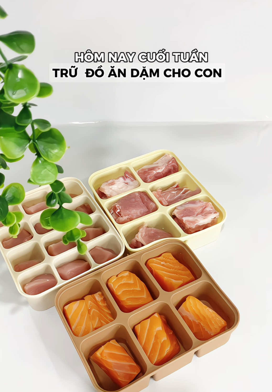 Từ ngày mà dùng cái khay silicone này trữ đông đồ ăn cho con thấy tiện lắm mà sạch sẽ các mẹ ạ #leoleofamily #khaytrudongsilicon #khaytrudong #ăndamcungconyeu 