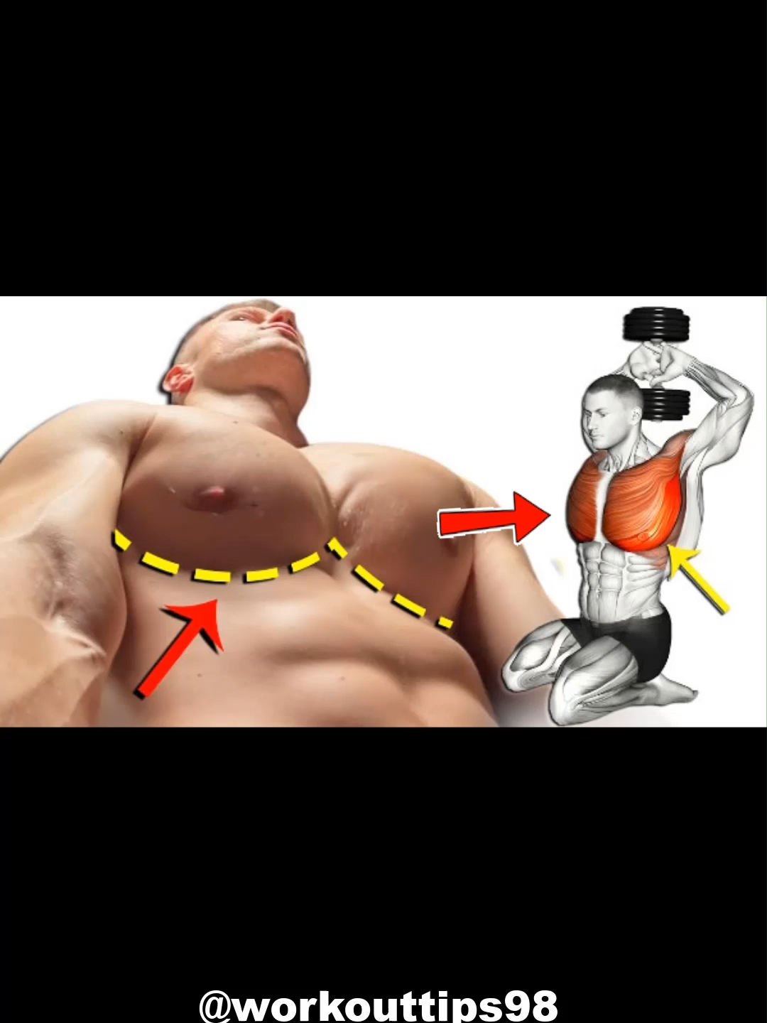 How to get a bigger Chest 🔥 #muscle #exercise #Fitness #workout #fit #gym #fitnesstips #workoutmotivation #workoutchallenge #Chestworkout #Chestday