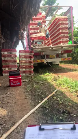 Công việt hằng ngài chạy xe xuống tới chai ngồi nhịp nhịp giò rồi về thôi 😂@ℍ𝕠𝕒̀𝕚 𝕝𝕒̂𝕞✅ @𝕋𝕣𝕦𝕟𝕘 ✅ @𝕊ℍ𝕀ℙℙ𝔼ℝℕ𝔾ℍỆ𝔸ℕ(ℂℍ𝕀ℂ𝕂𝔼ℕ) @Pham Anh Hao 🐳 @Thái Nguyễn @Thái Hoàng @ℍ𝕀Ế𝕌𝕃Ỏ🐣(ℂℍ𝕀ℂ𝕂𝔼ℕ)🐣 @Thế Bảo 