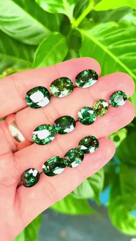 Natural Sapphire Xanh Green + Chuối siêu lửa hàng sạch tinh cắt facet chuẩn thiên nhiên tuyệt đẹp - Trọng lượng đá từ 4cts - 10cts. Ngoài đẹp hơn video em quay ạ 💎#hluxury #gemstone #giatrivinhcuu #luxury #sapphire 
