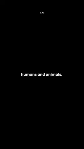 day 59 #animals #people #core #mentality #foryou 
