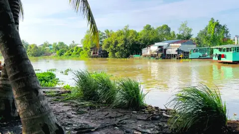 1 bên Đồng Tháp…1 bên Tây Ninh ❤️ cách nhau 1 con sông #xuhuong #62longan #chill #mientay #dongthap 