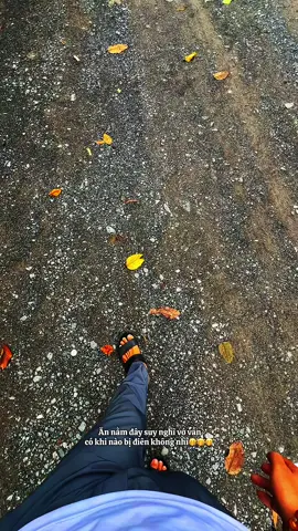 @Nguyễn Việt @Nguyễn Đức An 🥺🥺🥺🥺 🥺🥺🥺🥺🥺🥺🥺🥺