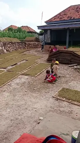 masok akal