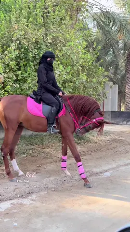 انا البنت اللي مايجيب راسها الا بنات صقار#العز #عسف#الخيل #@مربط السلاطين 🫣🫰🏻💞#ماشاءالله_تبارك_الله_اذكروا_الله #روز #صقار #العز ##روز صقار العز #اكسبلورexplore❥🕊 #خيل_وخياله🐎 #دعمكم_ورفعولي_فديو #مربط_خيول #ترند_تيك_توك_مشاهير #مربط_خيول #ترندات_جديدة #اغنية #موسقى #couple #humour #سبحان_الله_وبحمده_سبحان_الله_العظيم #الحمدالله_علی_کل_حال❤ #الشكر_والتحيه_لكل_من_تابعنى★🧡 #الشكر #لله #بنك #💞 #وردي #جمال 