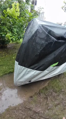 Solid motorcycle cover! Ilang months na yan sakin pero grabe parin performance. Mas nauna pa nabutas yung tent namin jusme! #motorcycle #scooter #motorcyclecover #motorcyclecoverwaterproof #motorcyclecoverdustproof #motorcyclecoverrainproof #covermotorcycle #covermotorcyclewaterproof 