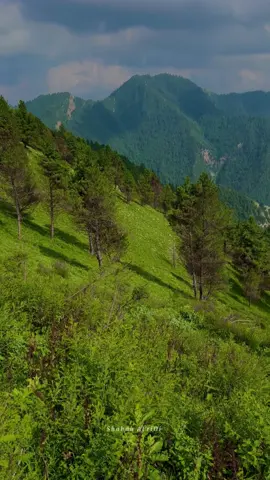 Tirah valley batarak Top view ⛰️ 🌸 #tirahvalley #explore #foryoupage #typ #tirahbeautyview #watan #mountains #adventure #viralvideo #shahab_afridi313 