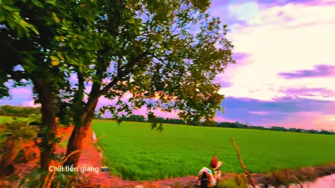 Dây tơ kết đôi #chill #binhyen #tamtrang #xuhuong #mientay #63tiengiang #lofi 