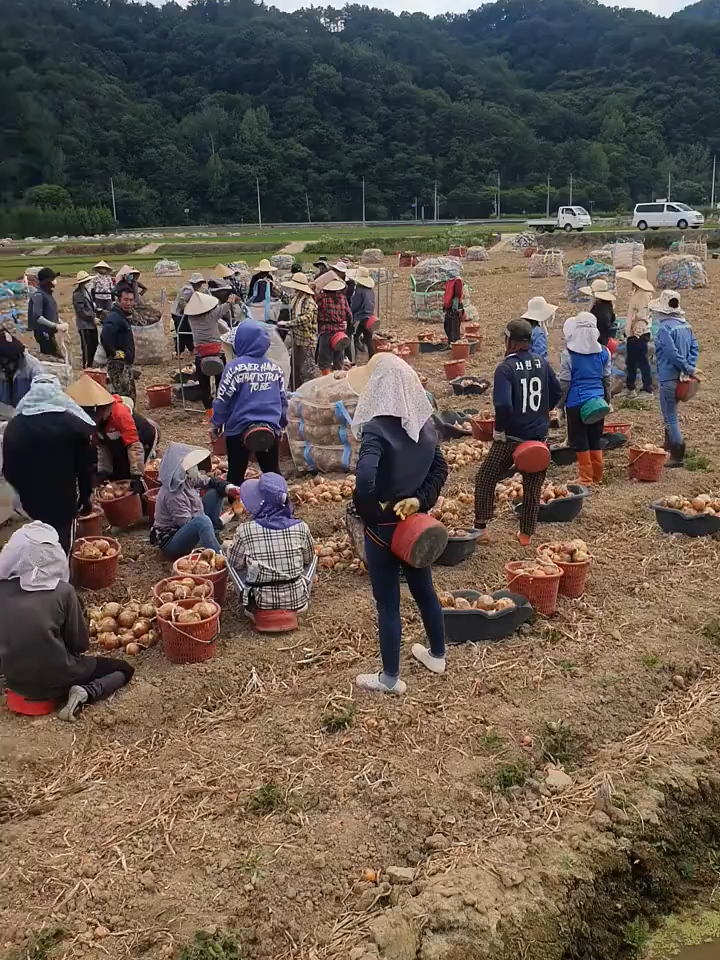 Nhà em vẫn cần thêm người làm nhé mọi người !!