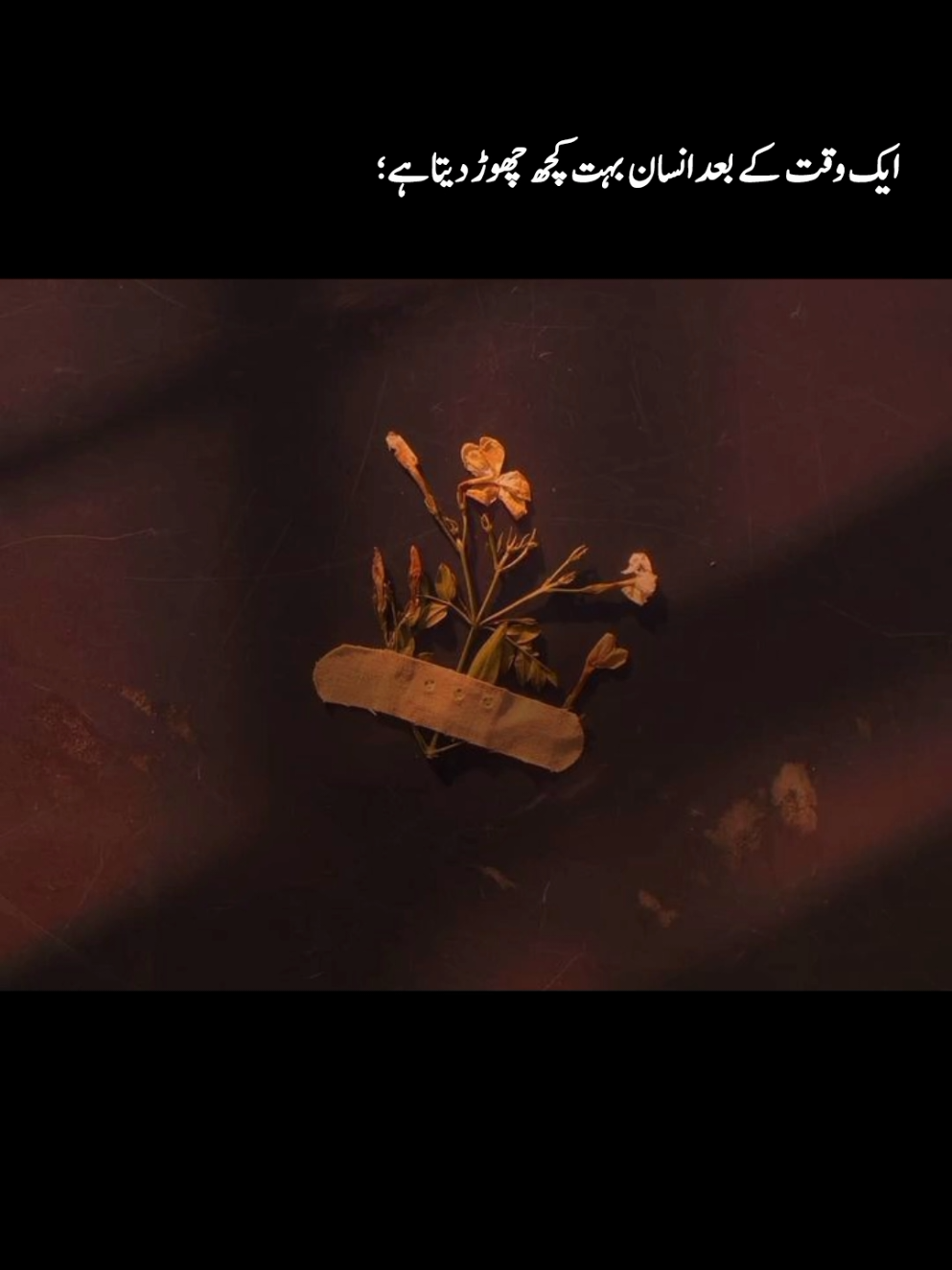 ہم کسی کے لیے اتنے ضروری نہیں ہوتے جتنا ہم سوچتے ہیں۔۔۔۔۔🥀✨ ۔ ۔ ۔ ۔ ۔ ۔ ۔ #asthetic #aesthetics #foryou #foryoupage #foryoupageofficiall #foryoupage❤️❤️ #fyppp #fypシ #fyppp #viral 