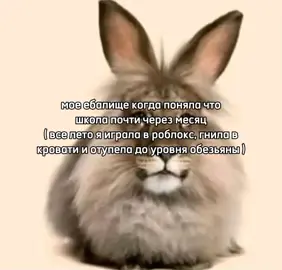 ну да #teamworkmakesthedreamwork #teamworkchallenge #заяц #щп #школа #лето #teamworkchallenge #хочувреки 