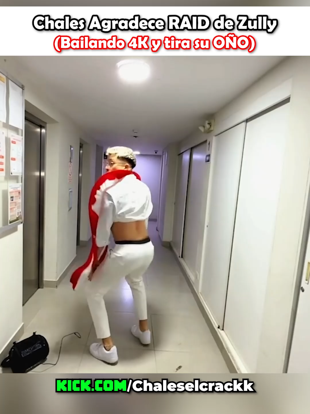 Chales agradece a zully #chales #chaleselcrack #elzeein #zein #peru🇵🇪 #peruanos #perú #zully #gatchurras😺💘 #zully🐱 #kickperu #humor