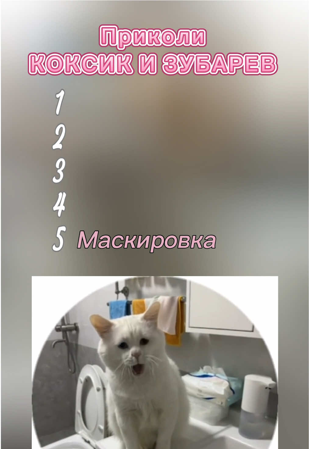 #zubarefff #зубаревалександр #смешноевидео #котики 