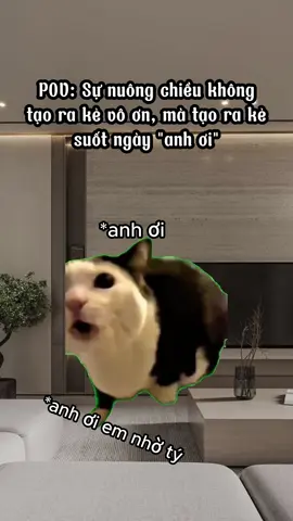 :((#cat #catmeme #memes #funnycats #hàihước 