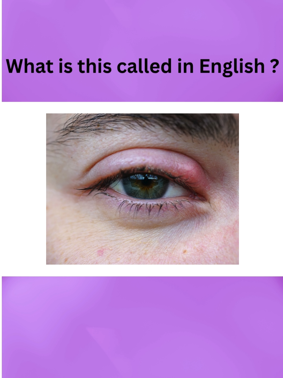 what is this called in english ?#vocabularywordsenglishlearning #Englishvacublary #easywaytospeakenglish #forbeginners💞💞💞 #mudaserkhan344 #vocabulary #vocabularywords 