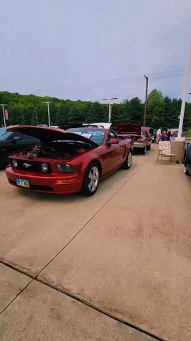 #Mustang Monday 