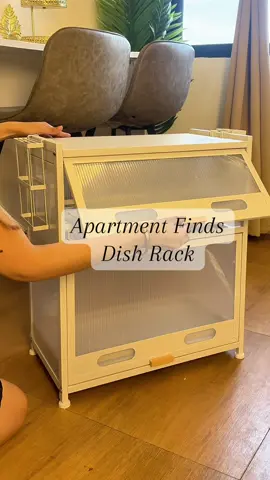 Apartment Finds🏡| Dish Rack #apartmentfinds #dishrack #dishrackorganizer #kitchendishrack #colainicolai 