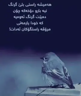 #في هذا اليوم 