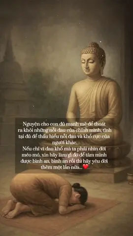 Nguyện cho con bình thản giữa nghịch cảnh cuộc đời! #phatphapnhiemmau #đạophậtvàđờisống 