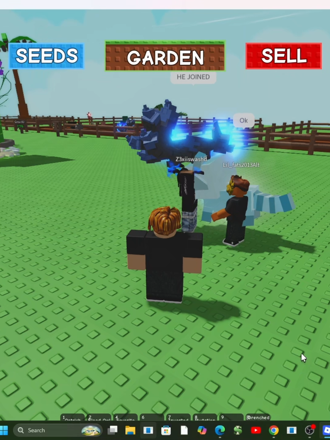 Grow a garden my friend got scammed @ecluppz and @Tropicalbabies13 Scammed him #growagardentrade #growagardentrade #viralvideo #gagscammer