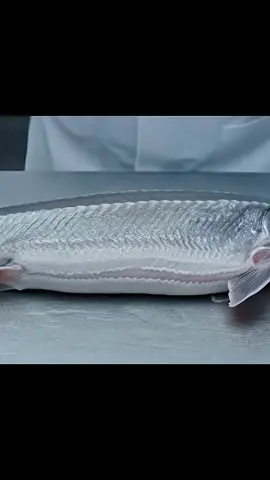 #caviar #caviare #fish #sturgeon #sturgeonfishing #caviarlovers