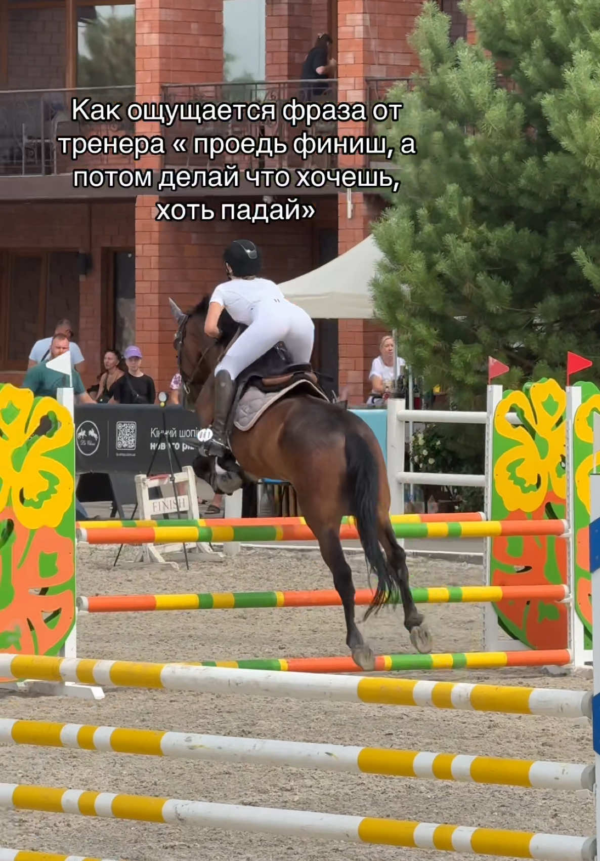 Восприняла буквально #тренер #рекомендации #fall #horse #competition 