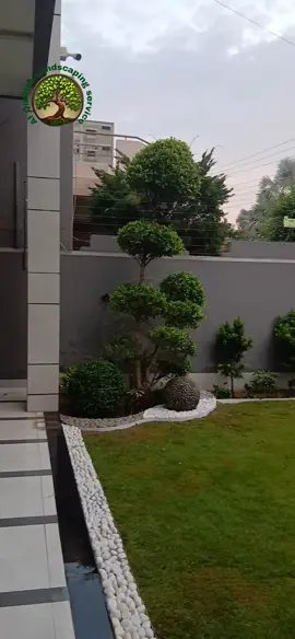Creative Garden Landscaping 0321.9471523 #landscape #beauty #fyp #foryou #trending #Viral #plants #season #flowers #Landscape #rockery #Lawn #maintenance #Rock #stones #design #ModranCreative #fyp #PAKISTAN 