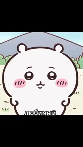 я и кто-то☠️☠️☠️#elbruso #on #viral #rge #chiikawa #hachiware#foryou #followme #солянкарулит #solyankarulit 