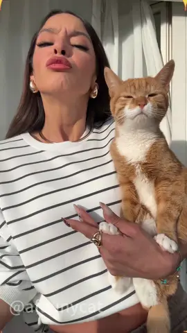 Cat looks like owner is true😅🐱🐱#cat #catsoftiktok #catlover #funny #funnyvideos 
